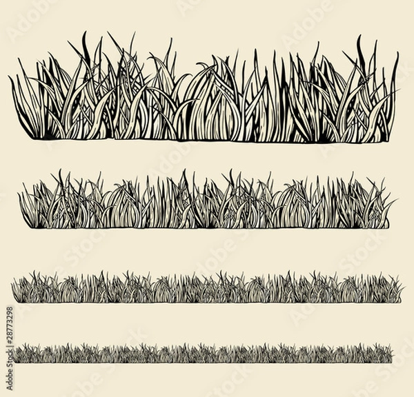 Obraz grass modeules