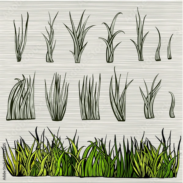 Obraz grass set