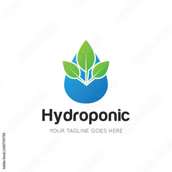 Obraz hydroponic logo and icon vector illustration design template