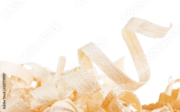 Obraz Wooden shaving