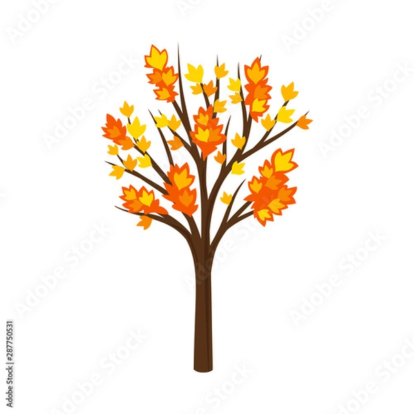 Obraz Silhouetted by autumn maple. Vector illustration on a white background.