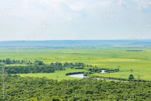 Fototapeta 釧路湿原