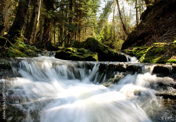 Fototapeta Wasserfall im Wald