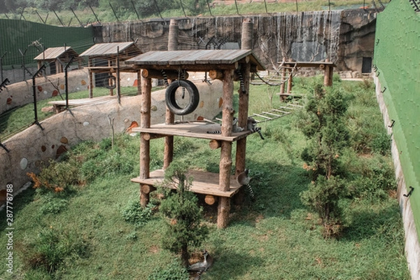 Obraz buildings in the animal park