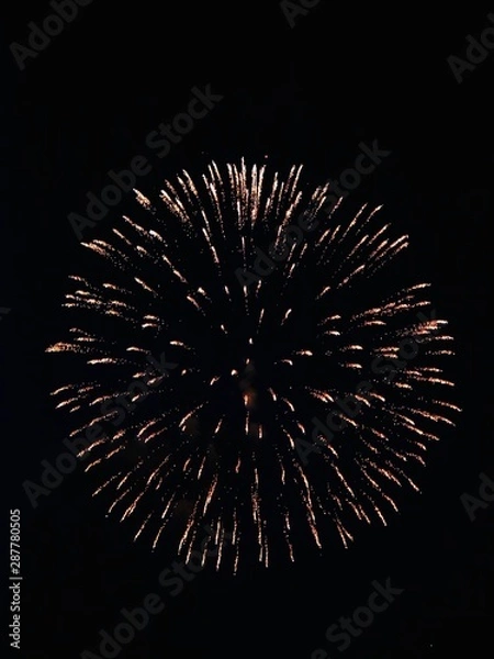 Fototapeta 花火　夜景　カラフル