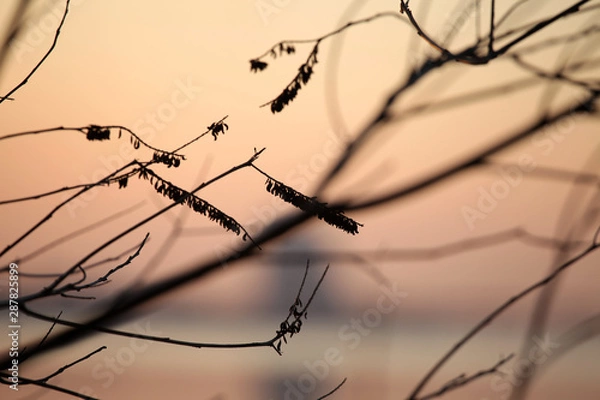 Obraz River sunset in spring art natural