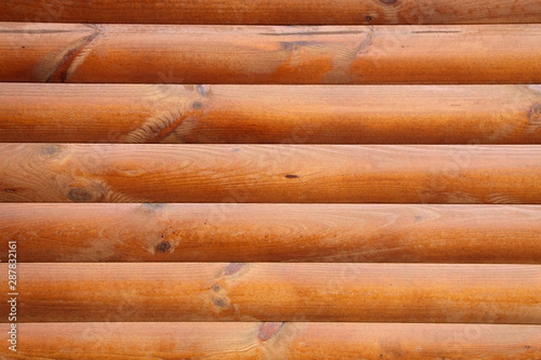 Obraz wood plank background