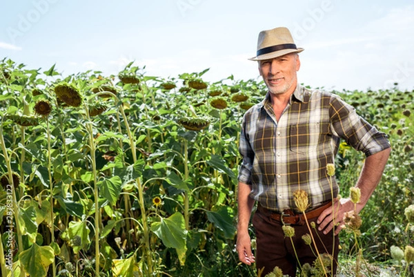 Fototapeta happy farmer in straw hat standing with hand on hip near sunflowers