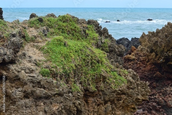 Obraz João Pessoa, Brazil