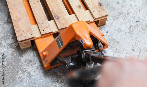 Obraz Organer Hubwagen, gabelhubwagen mit leerer Palette, palettenheber transport Lager Lagerhaltung