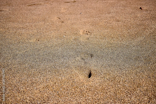 Obraz Traces of bare feet on the seas of sand