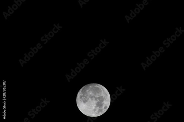 Fototapeta 満月
