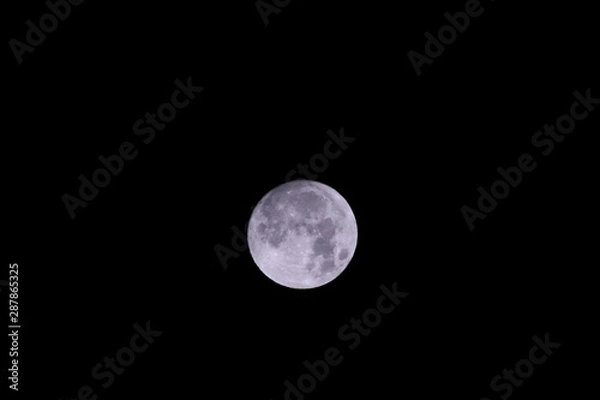 Fototapeta 満月