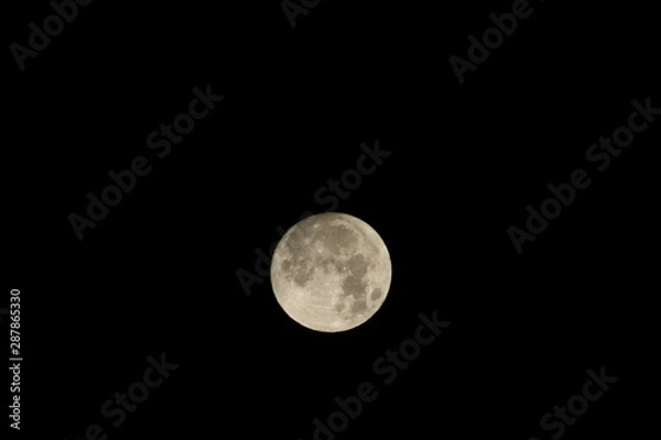 Fototapeta 満月