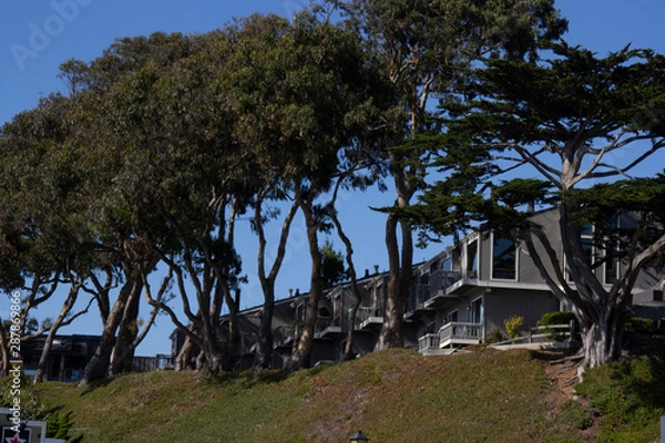 Obraz House on a hill.