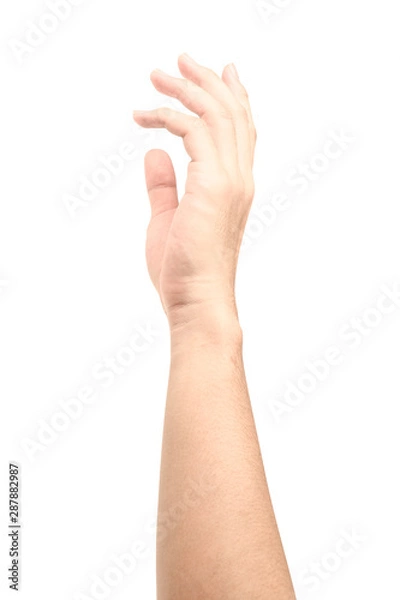 Fototapeta Hand open and ready to help or receive. Gesture isolated on white background with clipping path.