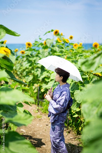 Fototapeta 海沿いのヒマワリ畑に立つ絞り染めの浴衣を着たシニア女性