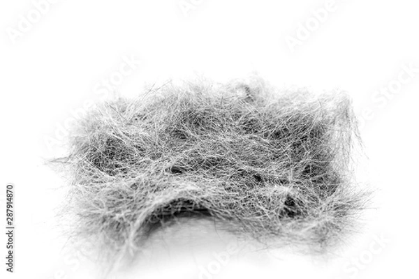 Fototapeta Macro Image of Black and White Cat Hair Collected After Grooming Session. Isolated on White Background.