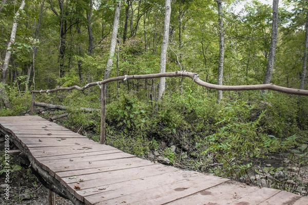 Obraz wooden bridge in the forest