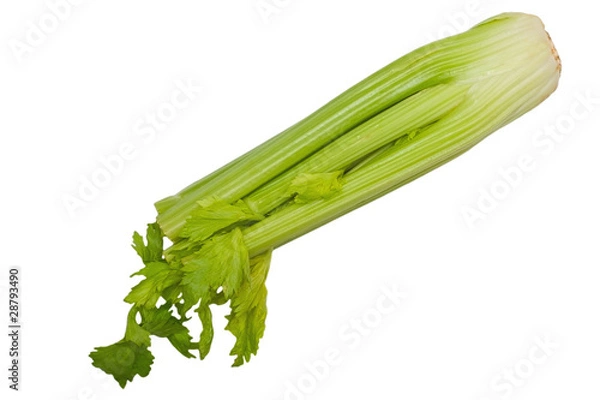 Obraz Celery stem