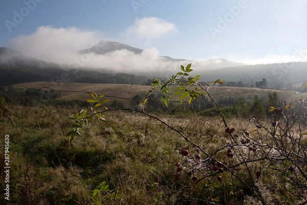 Fototapeta Bieszczady