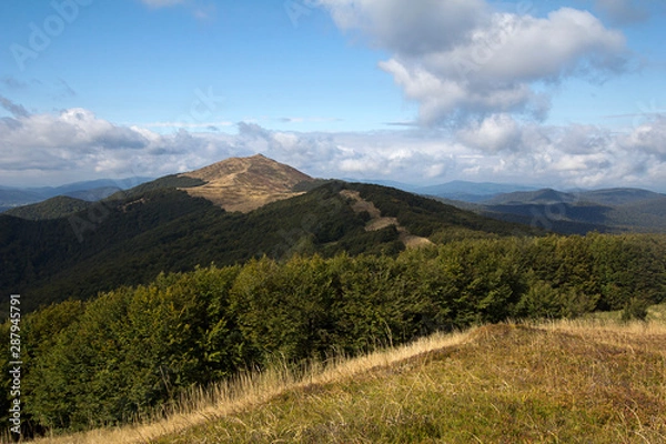 Fototapeta Bieszczady