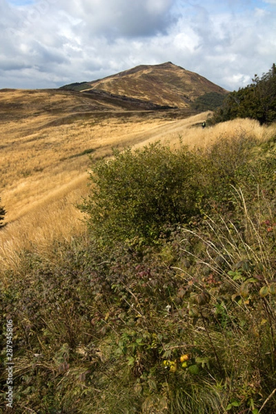 Fototapeta Bieszczady