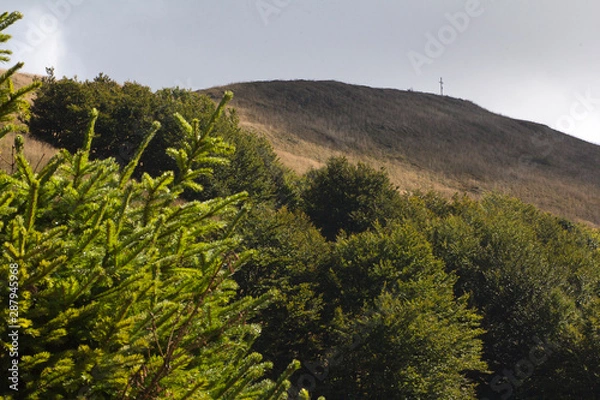 Fototapeta Bieszczady