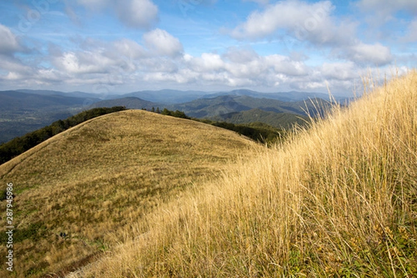Fototapeta Bieszczady