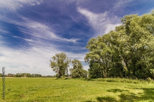 Obraz Green Landscape