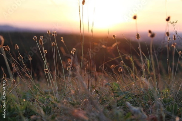Obraz Lichtspiele NaturPur