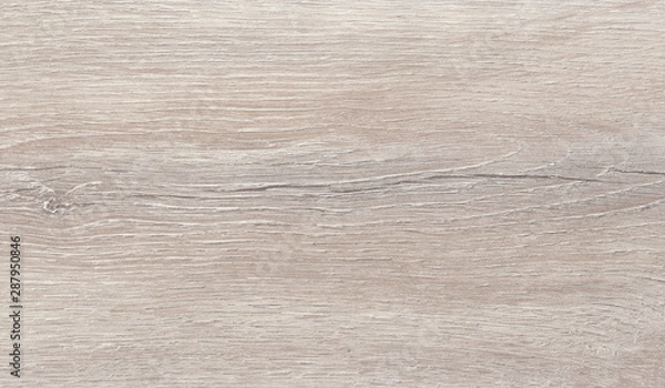 Obraz wood laminate veneer sample texture background in horizontal position