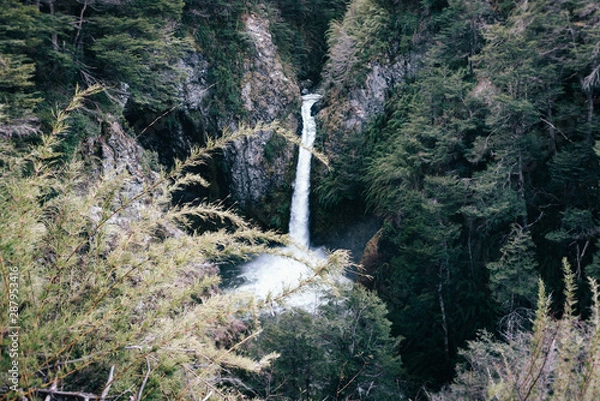 Obraz waterfall in forest - Bariloche