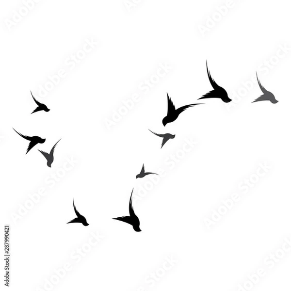 Fototapeta Bird Logo Template vector illustration