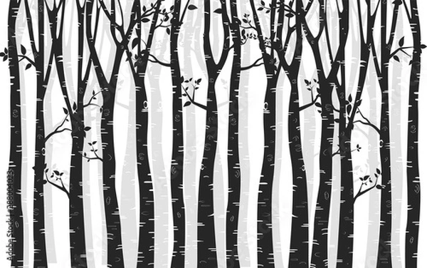 Fototapeta Birch Tree with deer and birds Silhouette Background