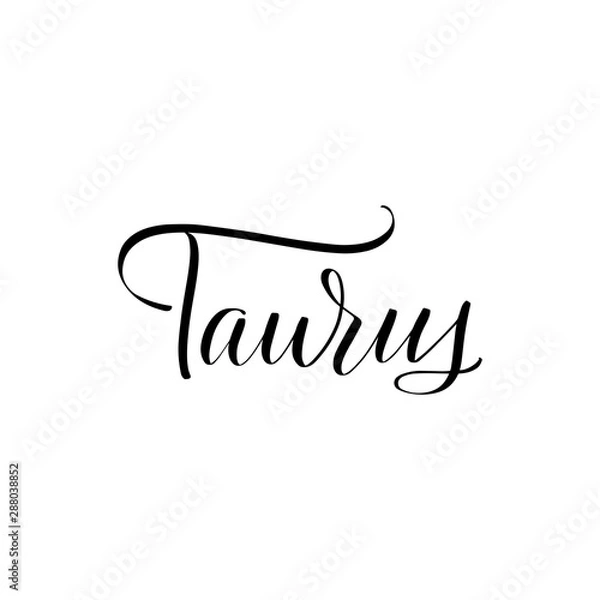 Fototapeta Inspirational handwritten brush lettering . Vector calligraphy illustration 