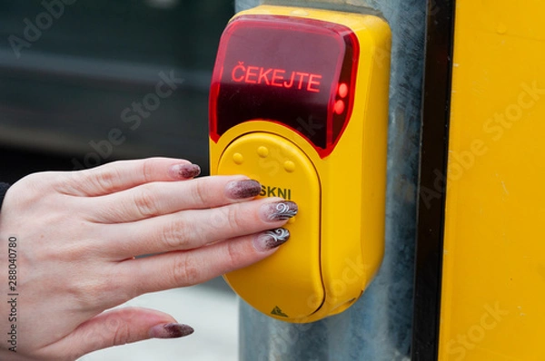 Obraz Traffic Light Button