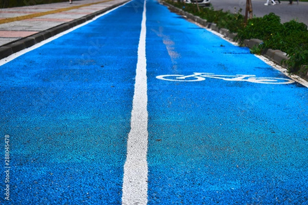 Obraz Blue bike path with bike sign