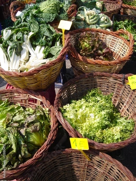 Obraz vegetables in baskets 01
