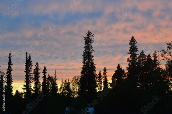 Obraz sunset in forest