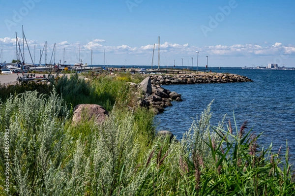Obraz Stranden i mörbylånga.