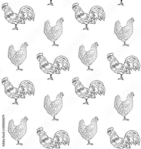 Fototapeta Vector seamless pattern of hand drawn chicken and rooster isolated on white background