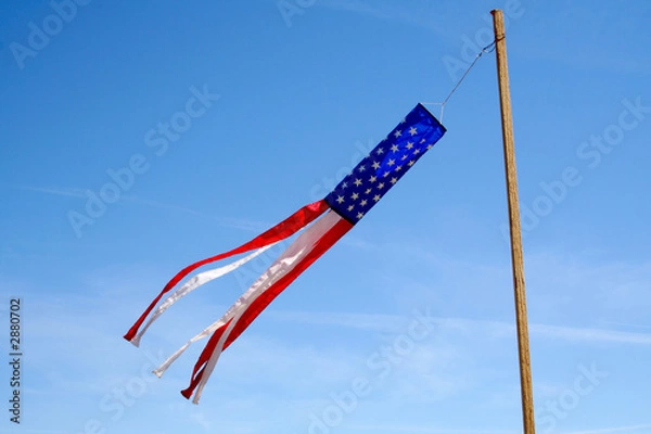 Fototapeta in the wind