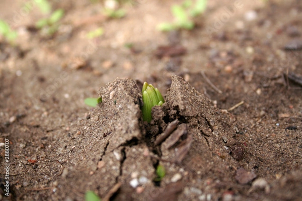 Fototapeta new spout