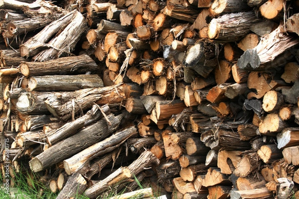 Fototapeta winter storage