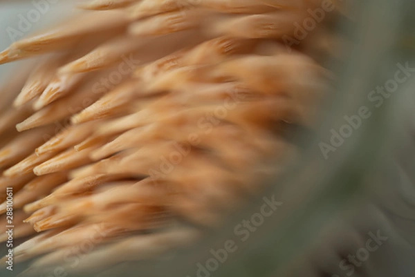 Obraz toothpicks