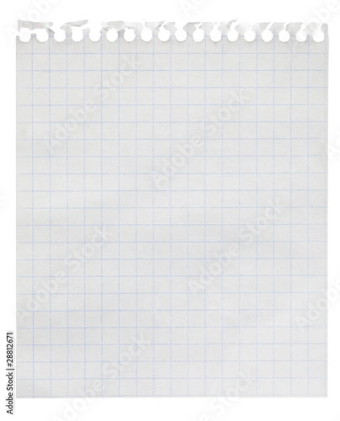 Fototapeta Squared paper loose-leaf note sheet isolated on white