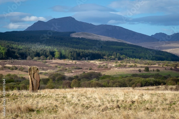 Obraz machrie moor standing stones in arran