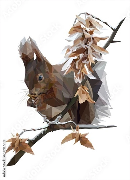 Fototapeta Winter squirrel on a branch low poly