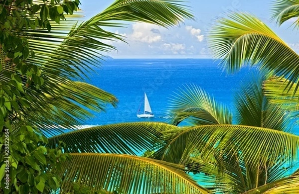 Obraz tropical melody